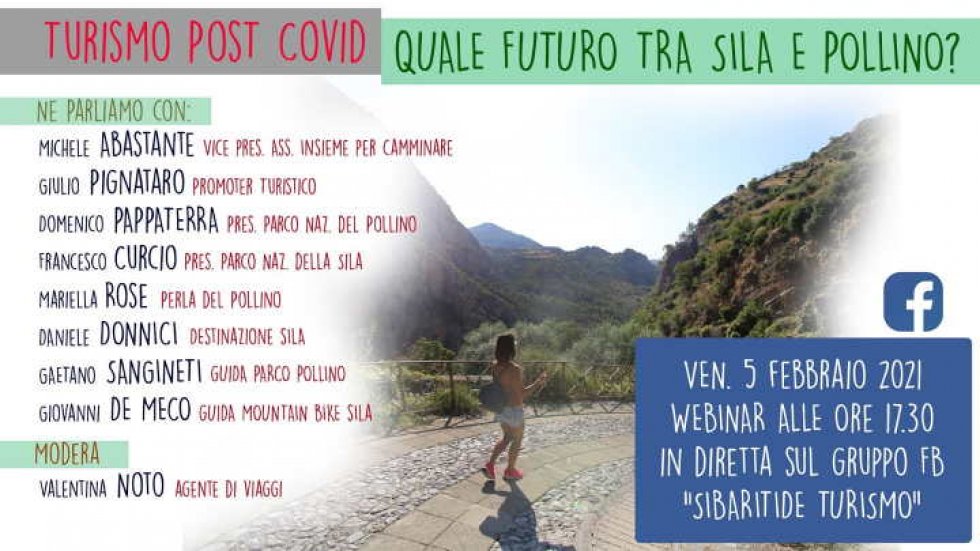 La locandina del webinar odierno