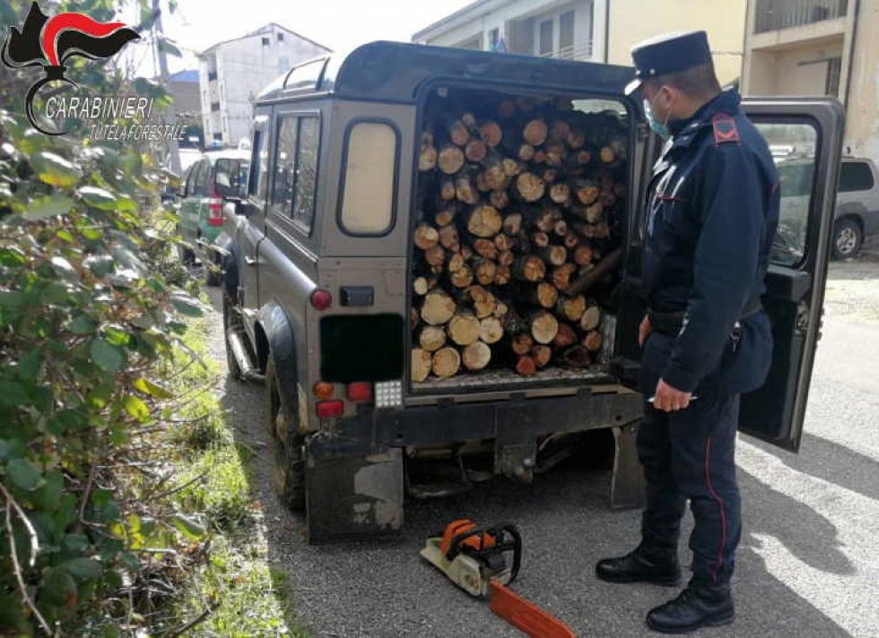 La legna sequestrata