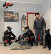 I carabinieri impegnati nell&#039;operazione