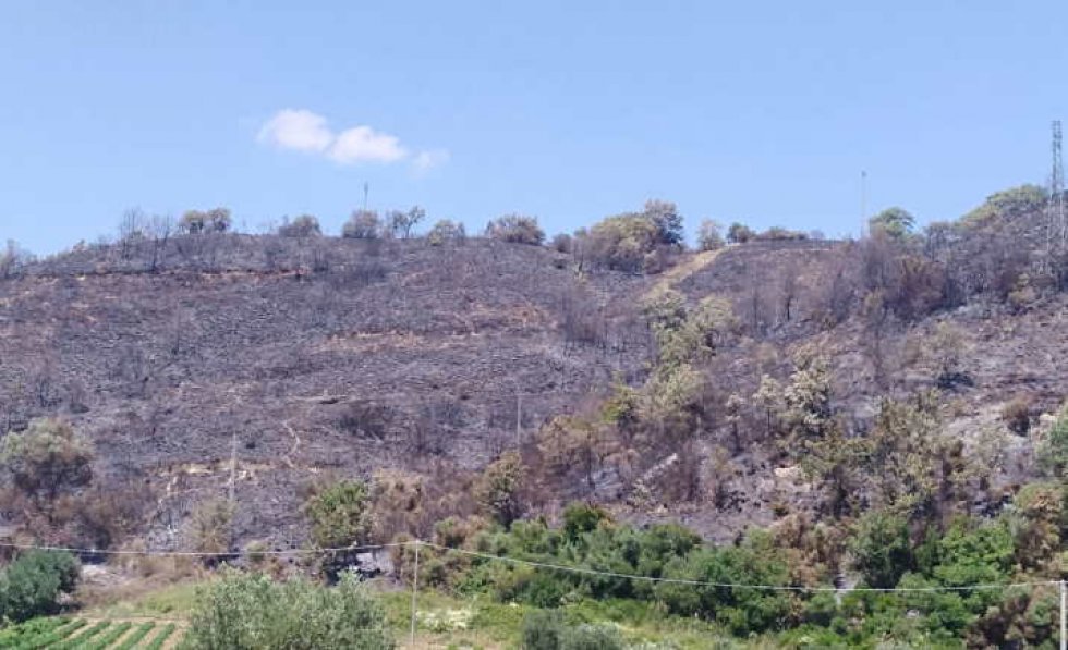 La collina divorata dalle fiamme