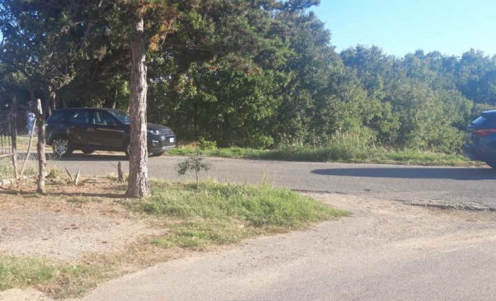 Le auto degli inquirenti al limitare del bosco