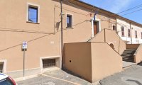 Cani randagi a Terranova, l’Amministrazione chiarisce