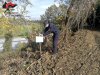 Uno dei sequestri effettuati dai CC Forestali